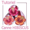 Tutoriel pdf : réaliser une canne hibiscus (pâte polymère) - français