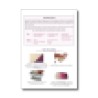 Tutoriel pdf : réaliser la canne pétillante (pâte polymère)