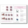 Tutoriel pdf : réaliser une canne kaleidoscope (pâte polymère)