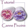 Tutoriel pdf : réaliser deux cannes pivoines différentes (pâte polymère)