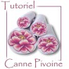 Tutoriel pdf : réaliser deux cannes pivoines différentes (pâte polymère)