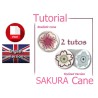 English tutorial pdf : SAKURA cane (polymer clay) - english version